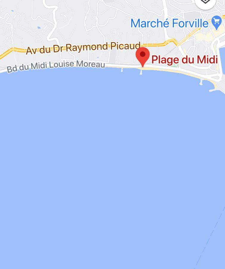 Appartement Rooftop, Premiere Ligne, Vue Mer, 50M De Plage Du Midi Канни Екстер'єр фото